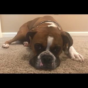 Meet your Posher, Becky